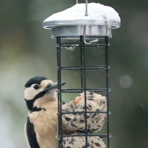 HB Sterling Fatball Feeder 60cm